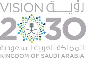 عميل 6